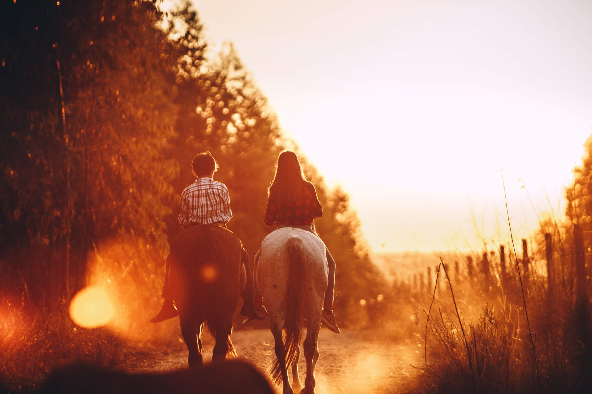 Horse Riding